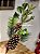 GALHO DECORATIVO PERMANENTE PINHA COM GALHOS 63CM - Imagem 1