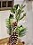 GALHO DECORATIVO PERMANENTE PINHA COM GALHOS 63CM - Imagem 3