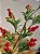 GALHO DECORATIVO BERRY VERMELHO COM FOLHAS 80CM - Imagem 2