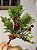 GALHO DECORATIVO BERRY VERMELHO 20CM - Imagem 2