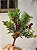 GALHO DECORATIVO BERRY VERMELHO 20CM - Imagem 3