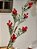 GALHO DECORATIVO BERRY VERMELHO 65CM - Imagem 2