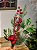 GALHO BERRY VERMELHO COM PINHA E FOLHAGENS 51CM - Imagem 1