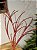 GALHO DECORATIVO VERMELHO 78CM - Imagem 1
