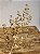 GALHO DECORATIVO FOLHAS DOURADO 85CM - Imagem 3