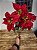 FLOR BUQUE POINSÉTIA VERMELHO 44CM - Imagem 3
