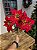 FLOR BUQUE POINSÉTIA VERMELHO 44CM - Imagem 1