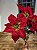FLOR BUQUE POINSÉTIA VERMELHO 44CM - Imagem 4
