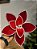 FLOR POINSÉTIA VERMELHO E BRANCO COM PEROLA 40CM - Imagem 1