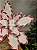 FLOR POINSÉTIA BRANCO BORDA CANDY CANNE 30CM - Imagem 2