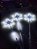 TRIO ASTE COM FLOCO DE NEVE COM EFEITO 426 LEDS BRANCO FRIO BIVOLT USO INTERNO E EXTERNO - Imagem 4