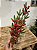 GALHO COM BERRY E PINHA COM GALHOS EMBORRACHADOS 70CM - Imagem 3