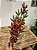 GALHO COM BERRY E PINHA COM GALHOS EMBORRACHADOS 70CM - Imagem 4