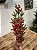 GALHO COM BERRY E PINHA COM GALHOS EMBORRACHADOS 70CM - Imagem 5