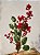 GALHO BERRY COM FOLHAGENS E PINHA 70CM - Imagem 1