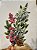 GALHO DECORATIVO BERRY COM PINHA E GALHOS COM GOTAS DE GELO 50CM - Imagem 3
