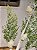 GALHO DECORATIVO FOLHAS E PINHA NEVADO 71CM - Imagem 2
