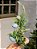 GALHO COM OVINHOS AZUL 40CM - Imagem 2