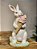 COELHO COM SORVETINHO 34CM - Imagem 1