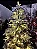 ÁRVORE PINHEIRO NEVADO ALASKA 597 GALHOS 1,80CM 250 LEDS PINHA WARM COM CONTROLE REMOTO - Imagem 4