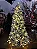 ÁRVORE PINHEIRO NEVADO ALASKA 597 GALHOS 1,80CM 250 LEDS PINHA WARM COM CONTROLE REMOTO - Imagem 16