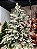 ÁRVORE PINHEIRO NEVADO ALASKA 597 GALHOS 1,80CM 250 LEDS PINHA WARM COM CONTROLE REMOTO - Imagem 3