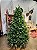ÁRVORE PINHEIRO LUXO REALISTA NOVA YORK 2067 GALHOS 2,10CM - Imagem 1