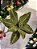 FLOR POINSETIA VERDE E DOURADO 30CM - PRÉ VENDA 2025 - Imagem 2