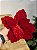 FLOR POINSETIA TRADICIONAL VERMELHA VELUDO 23CM - Imagem 5