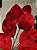 GALHO FOLHA VELUDO VERMELHO 78CM - Imagem 4