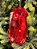 PENDENTE ORNAMENTO JOIA VERMELHA 18CM - Imagem 2