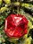 PENDENTE ORNAMENTO JOIA VERMELHA 10CM - Imagem 2