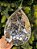 PENDENTE ORNAMENTO JOIA PRATA 23CM - Imagem 1