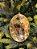 PENDENTE ORNAMENTO JOIA OURO 13,5CM - Imagem 2