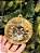 PENDENTE ORNAMENTO JOIA OURO 10,5CM - Imagem 1