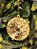 PENDENTE ORNAMENTO JOIA OURO 10,5CM - Imagem 2
