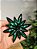 PENDENTE ORNAMENTO JOIA VERDE 11,2CM - Imagem 2
