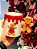 CANECA DECORATIVA GINGERBREAD 9CM - PRÉ VENDA 2025 - Imagem 2