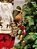 PAPAI NOEL EM PÉ XADREZ COM CAJADO DE ALÇE 45CM - Imagem 3