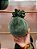 BOLA VELUDO VERDE 15CM - Imagem 1