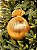 BOLA EM TECIDO METALIZADO OURO 12CM - Imagem 1