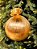 BOLA EM TECIDO METALIZADO OURO 20CM - Imagem 2