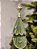 ÁRVORE DECORATIVA COM ESTRELAS EM RESINA VERDE E VERMELHA 31CM - Imagem 3