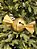 PENDENTE GUIZO EM METAL DOURADO 26CM - Imagem 3