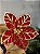 FLOR POINSETIA DECORATIVA VERMELHO E DOURADO 19CM - Imagem 2