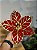 FLOR POINSETIA DECORATIVA VERMELHO E DOURADO 19CM - Imagem 1