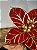FLOR POINSETIA DECORATIVA VERMELHO E DOURADO 19CM - Imagem 6