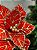 FLOR POINSETIA DECORATIVA VERMELHO E DOURADO 20CM - Imagem 6
