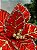 FLOR POINSETIA DECORATIVA VERMELHO E DOURADO 20CM - Imagem 7