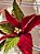 FLOR POINSETIA DECORATIVA VERMELHO E VERDE 20CM - PRÉ VENDA 2025 - Imagem 2